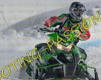 2MOSSES338