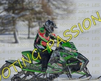 2MOSSES341