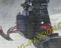 2MOSSES399