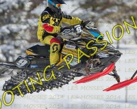 2MOSSES415