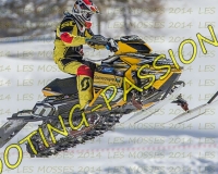 2MOSSES419