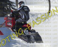 2MOSSES427