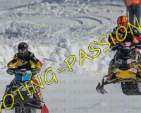 2MOSSES436