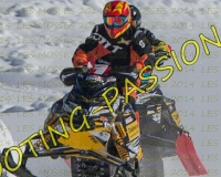 2MOSSES439