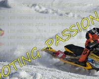2MOSSES441
