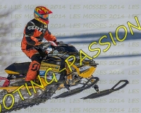 2MOSSES444