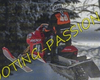 2MOSSES460