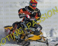 2MOSSES463