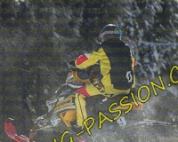 2MOSSES476