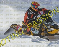 2MOSSES481