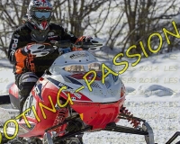 2MOSSES488