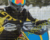 2MOSSES499