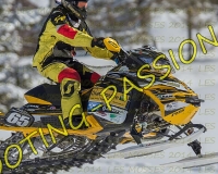 2MOSSES520