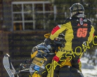 2MOSSES535