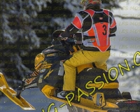 2MOSSES538