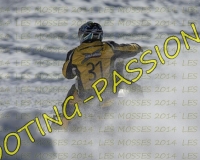 2MOSSES541