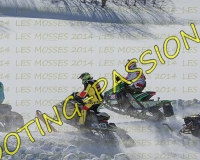 2MOSSES581