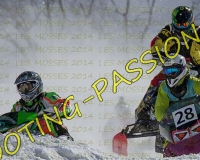 2MOSSES595