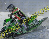 2MOSSES598