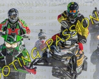 2MOSSES612