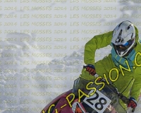 2MOSSES625