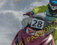 2MOSSES629