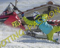2MOSSES632