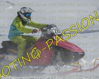 2MOSSES651