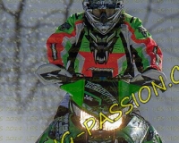 2MOSSES659