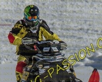 2MOSSES661