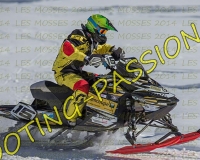 2MOSSES668