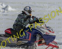 2MOSSES671