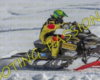 3MOSSES002