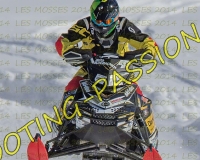 3MOSSES017