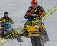 3MOSSES051