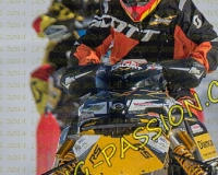 3MOSSES054