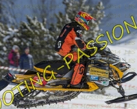 3MOSSES122