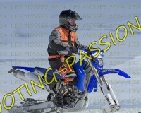 3MOSSES133