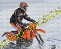 3MOSSES138