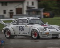 1SAANEN0208