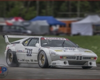 1SAANEN0264