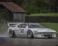 1SAANEN0268