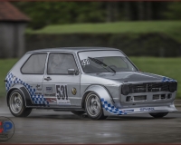 1SAANEN0295