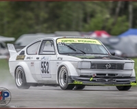 1SAANEN0347
