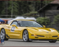 1SAANEN1120