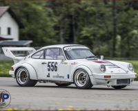 1SAANEN1399