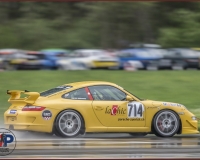 2SAANEN0397