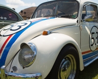 VW008