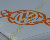 tunning-0054
