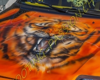 tunning-0085
